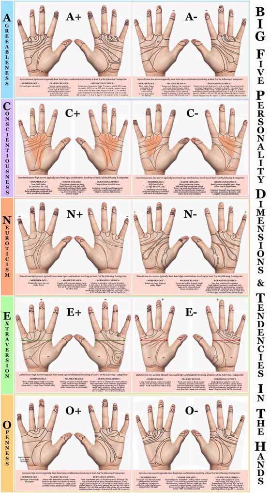 Big Five personality dimensions & tendencies in the hands!